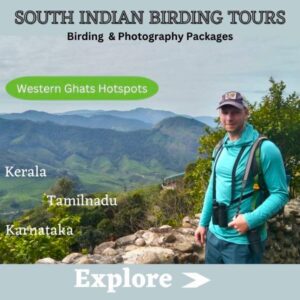 birding person